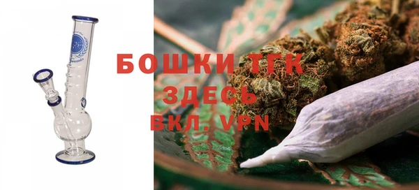 шишки Белоозёрский