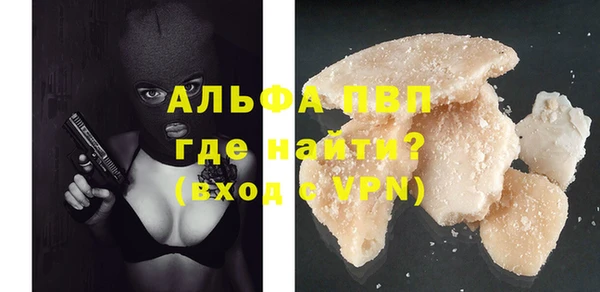 шишки Белоозёрский