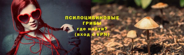 шишки Белоозёрский