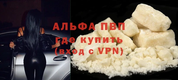 шишки Белоозёрский