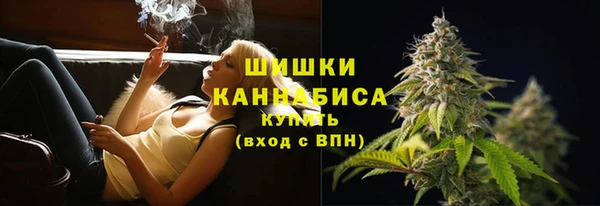 шишки Белоозёрский