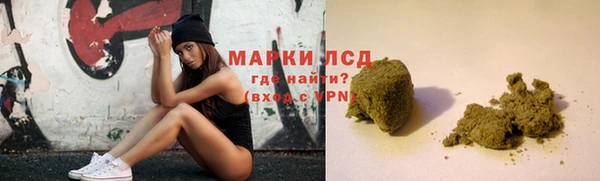 шишки Беломорск