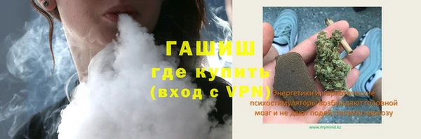 шишки Белоозёрский