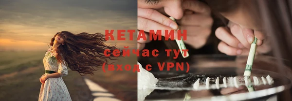 шишки Беломорск