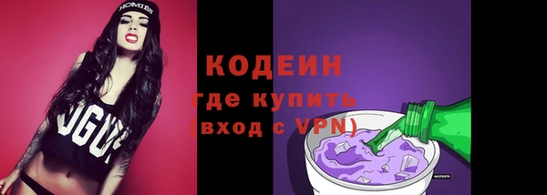 шишки Белоозёрский