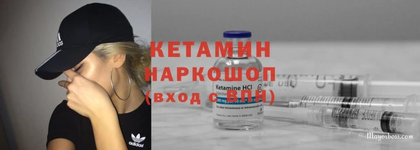шишки Белоозёрский