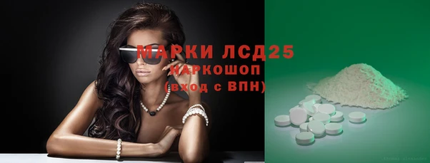 шишки Беломорск